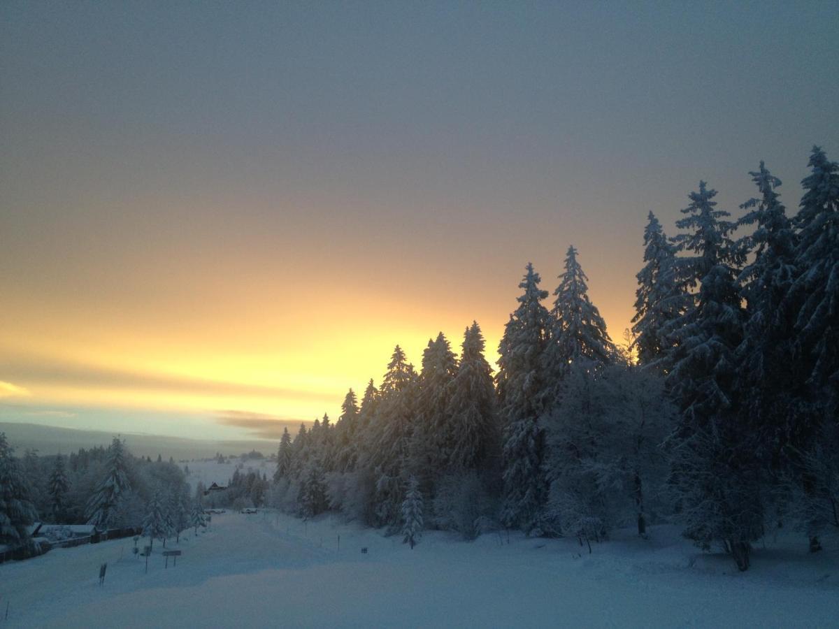 Les Gites De La Serva - Champ Du Feu - Montagnes- Vosges ベルモン エクステリア 写真