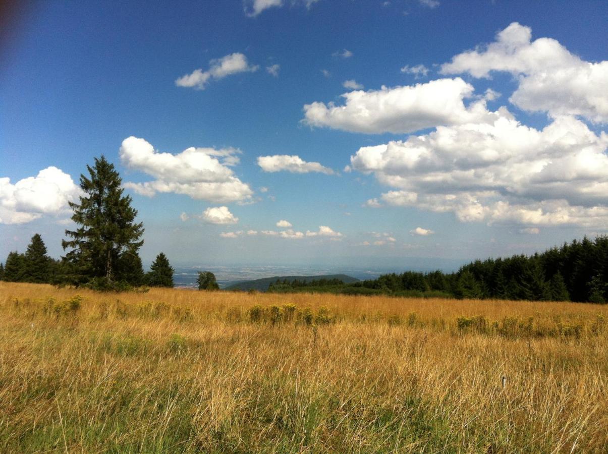 Les Gites De La Serva - Champ Du Feu - Montagnes- Vosges ベルモン エクステリア 写真